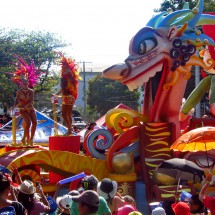 Float with dragon